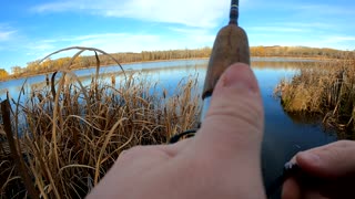 my first trout
