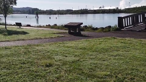 Chehalis River in Aberdeen Washington