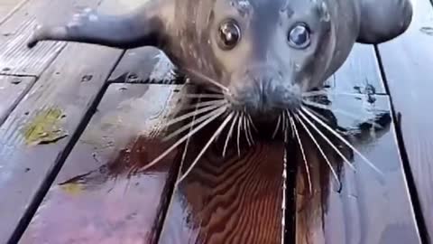 Slow motion 😦😍