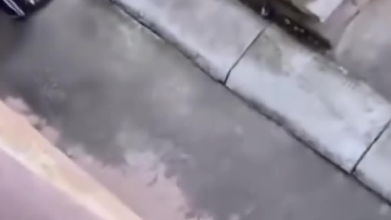 What to do with snake