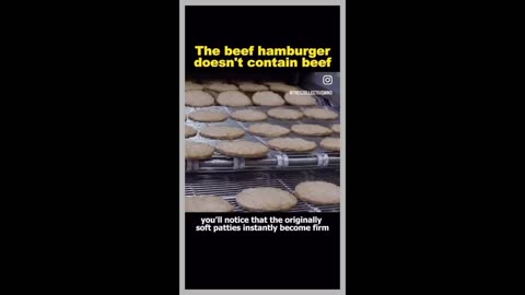 Do You Know How Some Hamburgers Are Made?