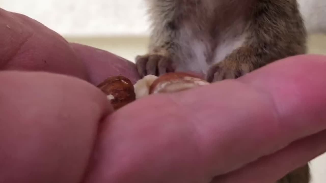 Happy Birthday 🎉🎂 Squishiii!! 🎈