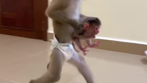Jacky Pick Up Newborn Baby For Jenny,