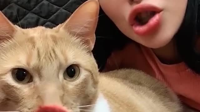 ok pero el gato w dice mcoll, contexto Scott mcoll