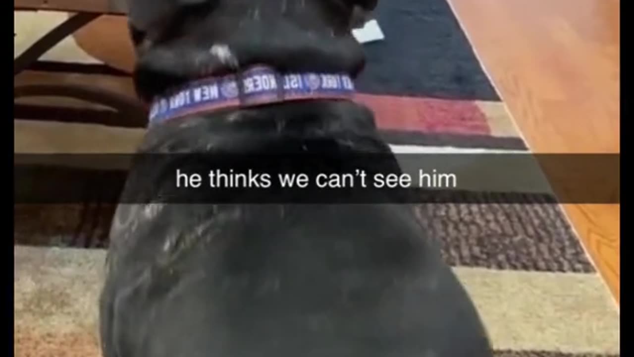 hhhh he thinks we can't see him