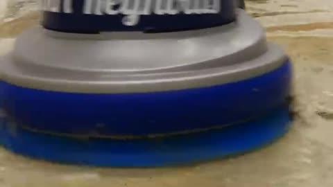 Rug Was Found In a Flower Bed _ Satisfying Carpet Cleaning Cleaning _ #shorts