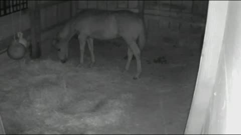 Breeze at night, 4/21/23