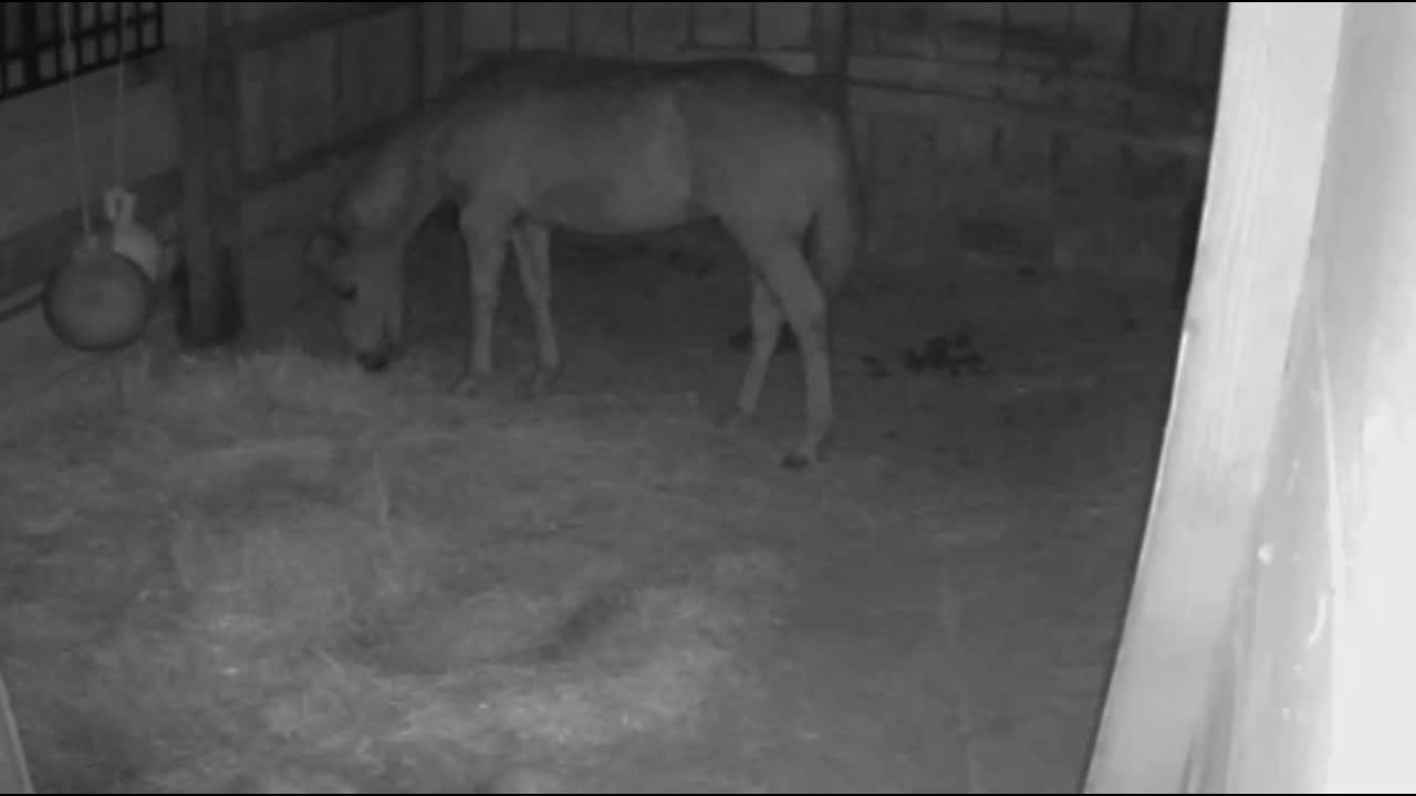 Breeze at night, 4/21/23