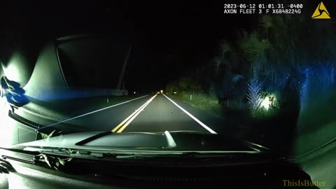 Florida deputies help lost cow wandering around neighborhood late at night