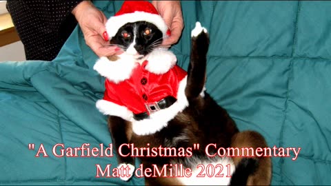 Matt deMille Movie Commentary #308: A Garfield Christmas