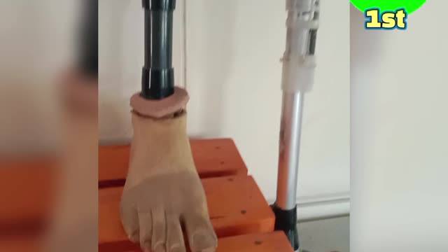 Artificial Leg