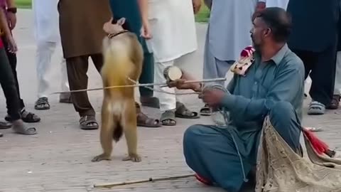 Funniest video