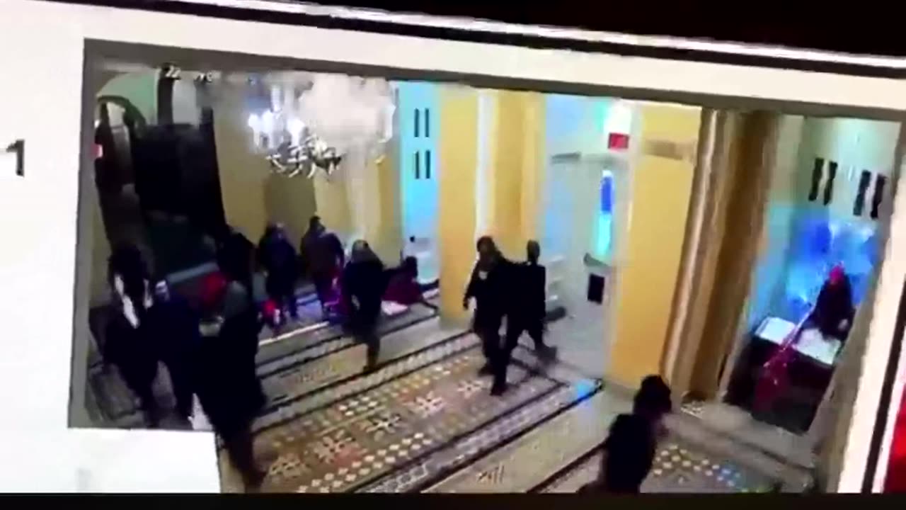 Capitol Ninja terrorist.