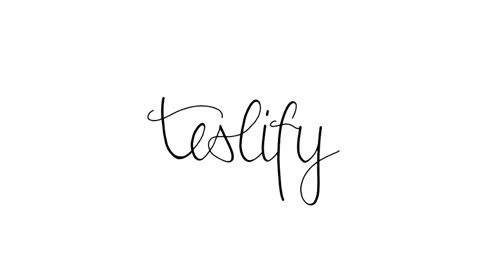 teslify.ch | Have fun with Tesla Model X - we show you how