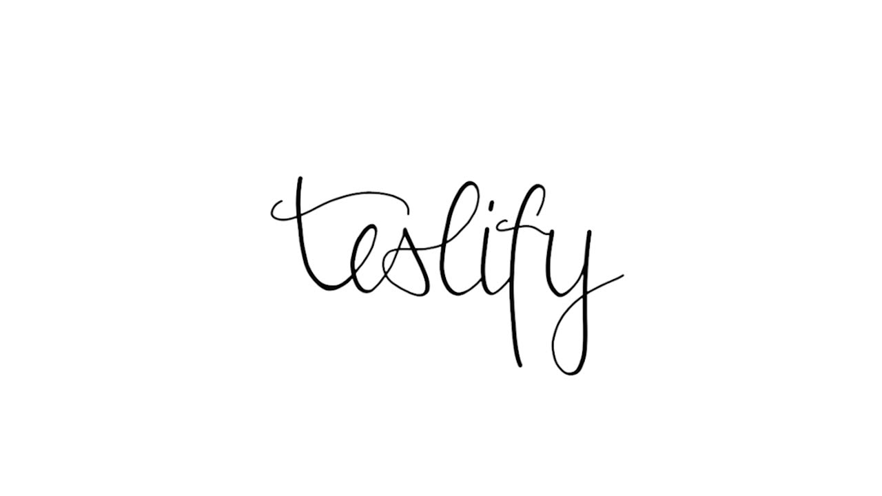 teslify.ch | Have fun with Tesla Model X - we show you how