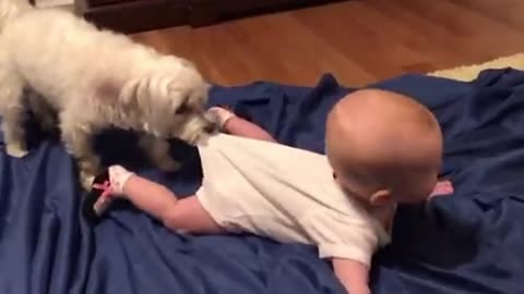 Cute and funny babies and dogs 🐕😂