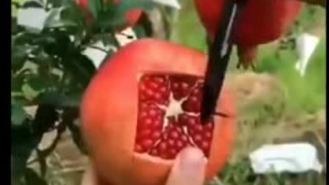 watch the proper way to slice a pomegranate