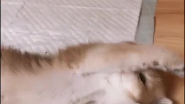 ☺☺