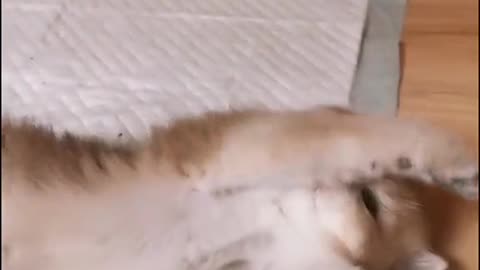 ☺☺
