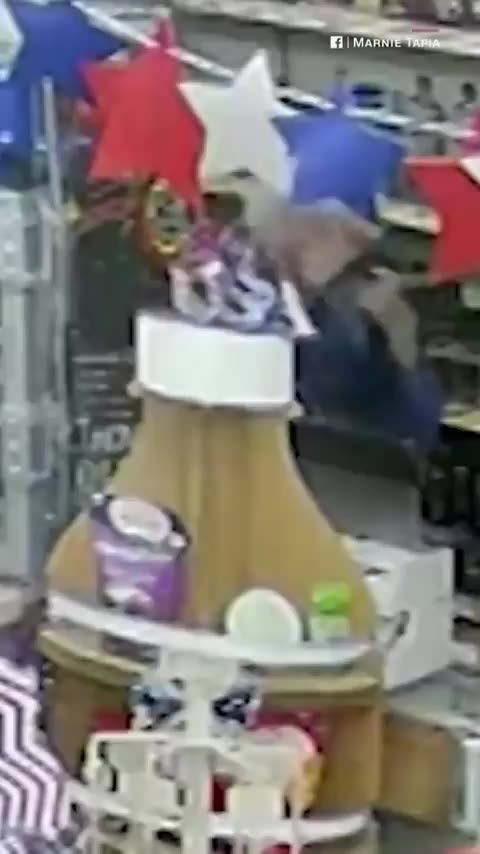 Boomer Store Owner Make Thugs Cry Like Little Girls