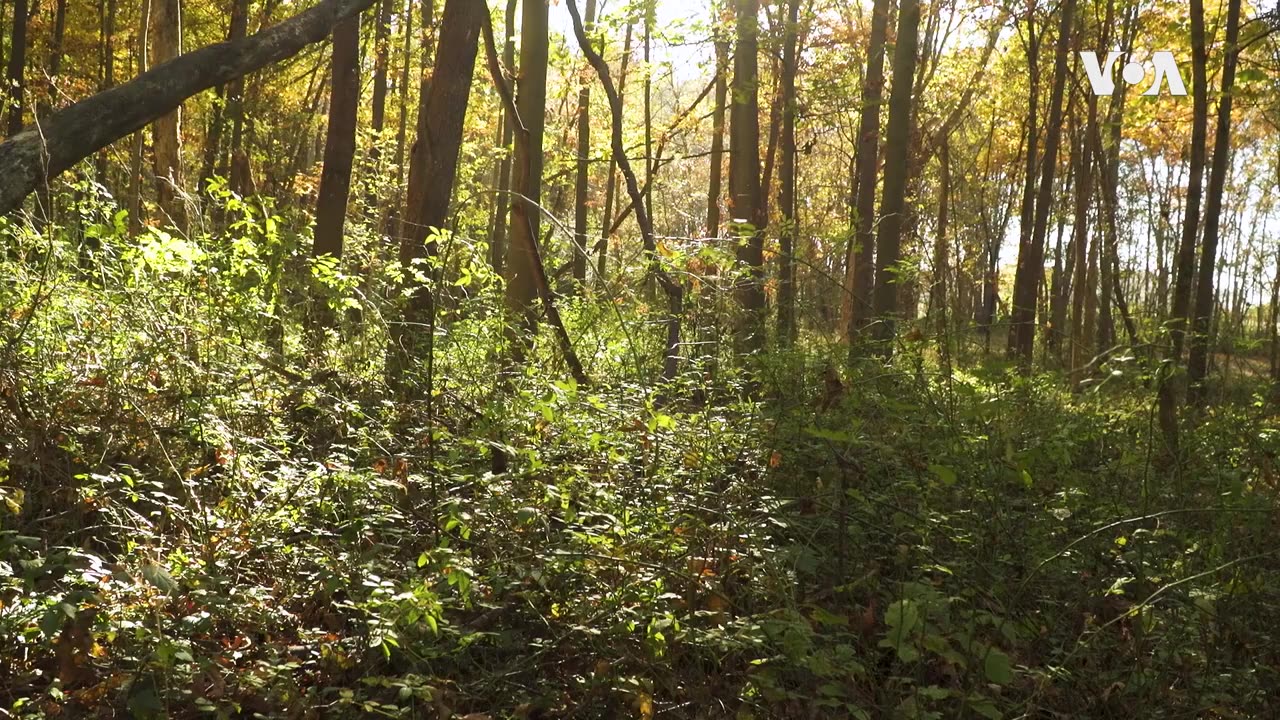 Nature: Keedysville, MD | VOA Connect