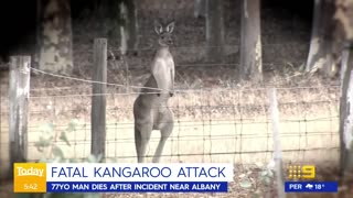 Man dies after kangaroo attack