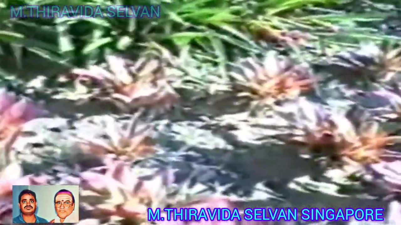 T M SOUNDARAJAN LEGEND SOUTH AFRICA 1980 VOL 12