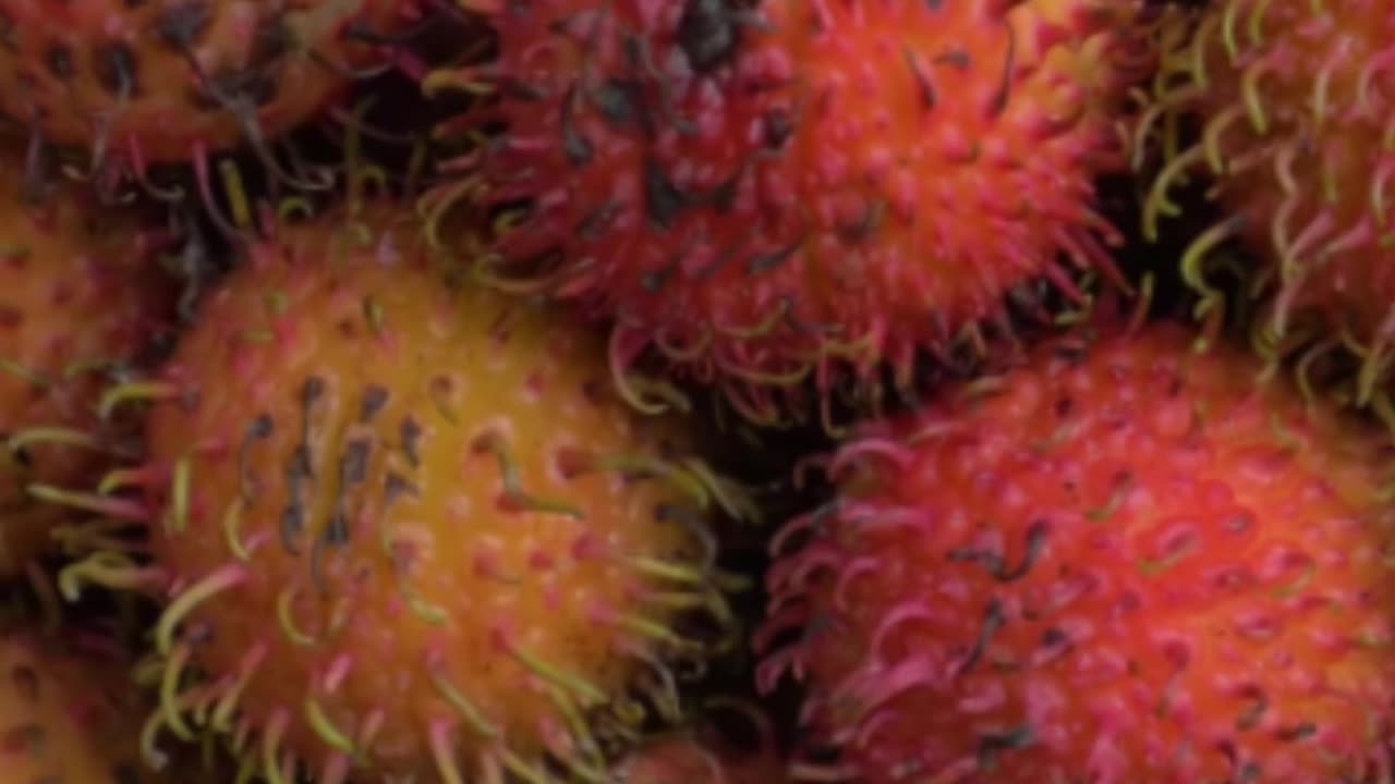 ***Lychee: A Bite of History, Health, and Flavour***