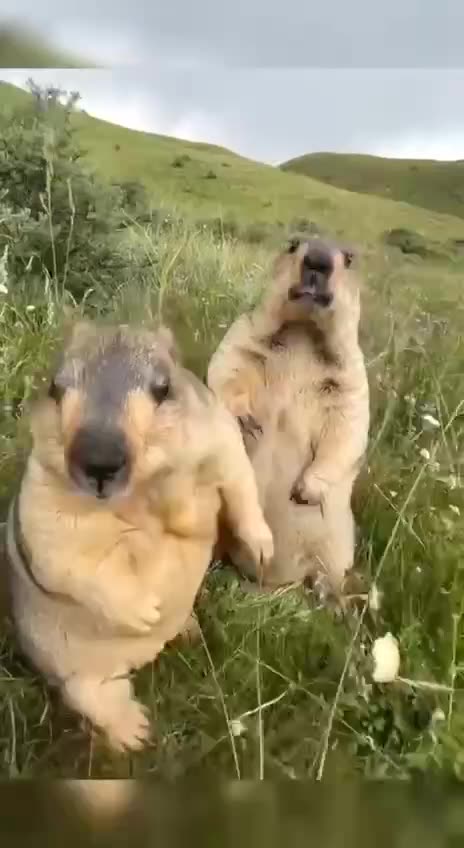 WHEN OTHER'S FAIL US - DAILY DEVOTIONAL ❤️