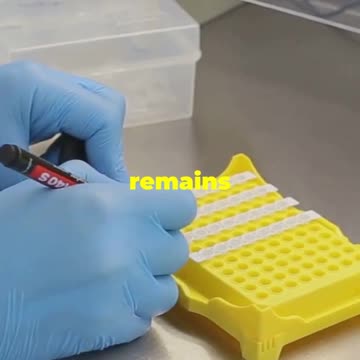 True Crime: The Murder of JonBenet Ramsey #truecrimes #jonbenetramsey