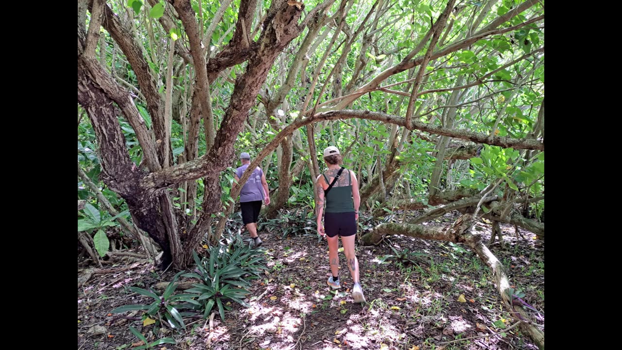 Ancient Village on Tinian