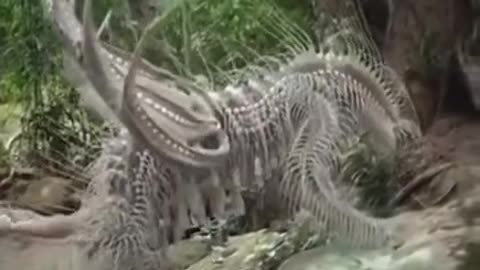 This should be CGI right?