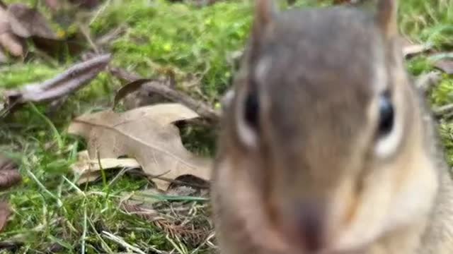 My sweet Betty jumped for joy when she saw me coming out of hibernation