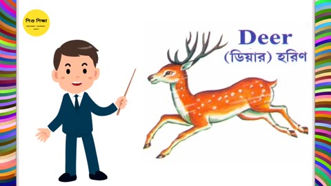 Animals names with Pictures in English _ Animals name in Bengali _ animal name bangle to english