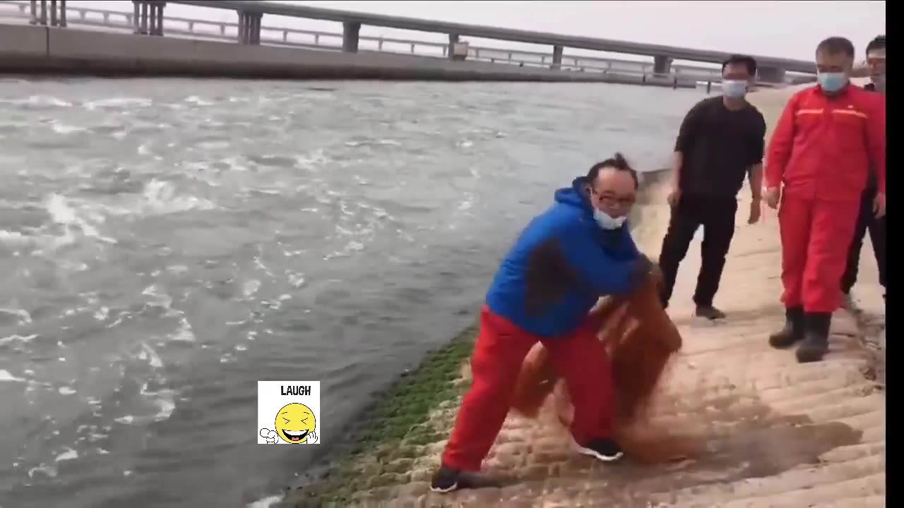 Are you fishing for food OR food for fishies? 😂