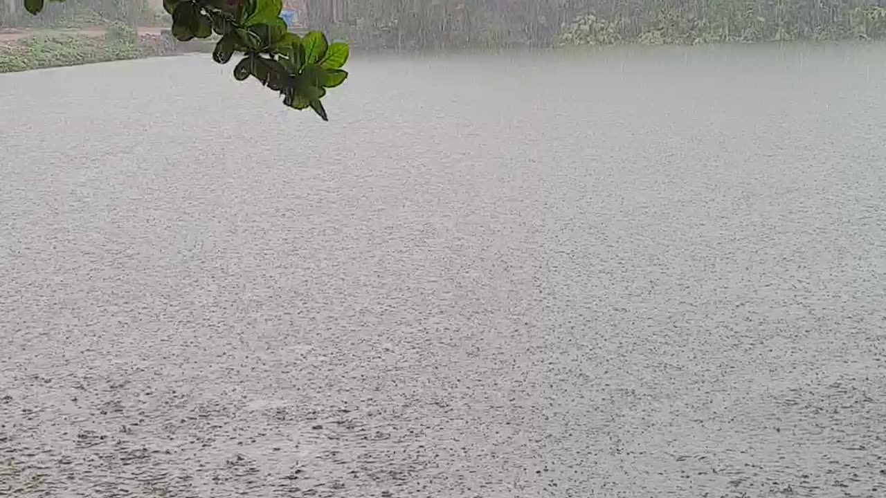 Very beautiful rain scene