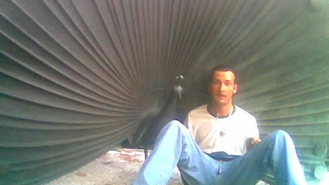 Celal Yarici - Hanim