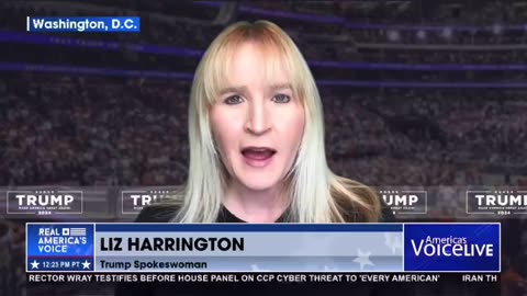 Liz Harrington: Trump follow 'the real constitution'