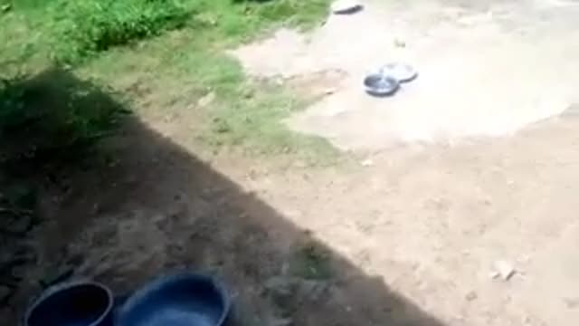 Report :Luc-Quang:Vo living conditions