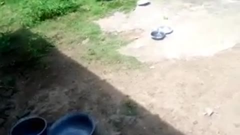 Report :Luc-Quang:Vo living conditions