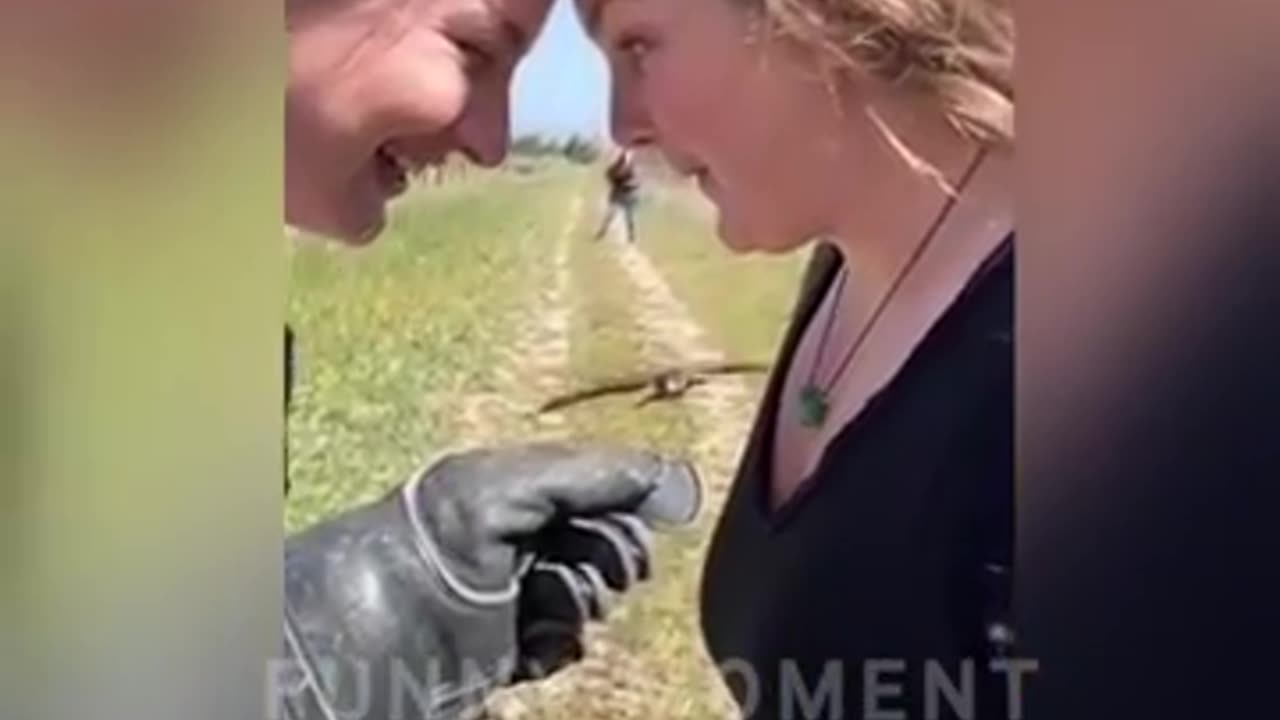 Funny animals