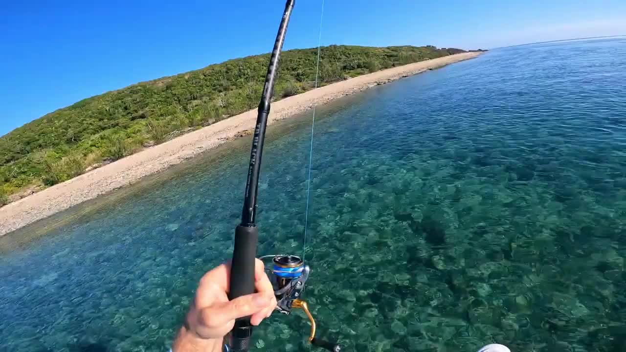 The dream of fishing