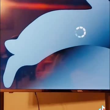 What's This? Roku TV