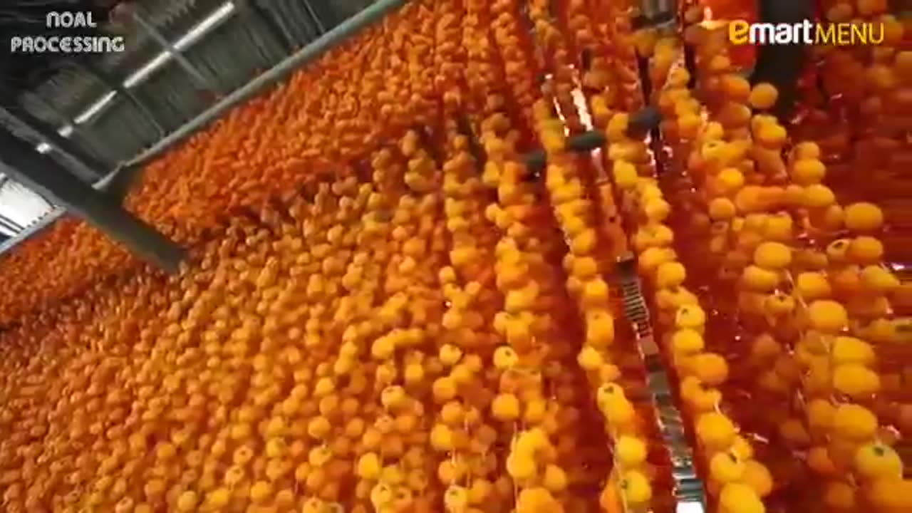 Japan Dried Persimmon Processing