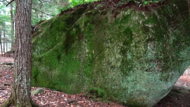 Glacial Erratic