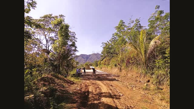 tree planting on Earth Day 2022