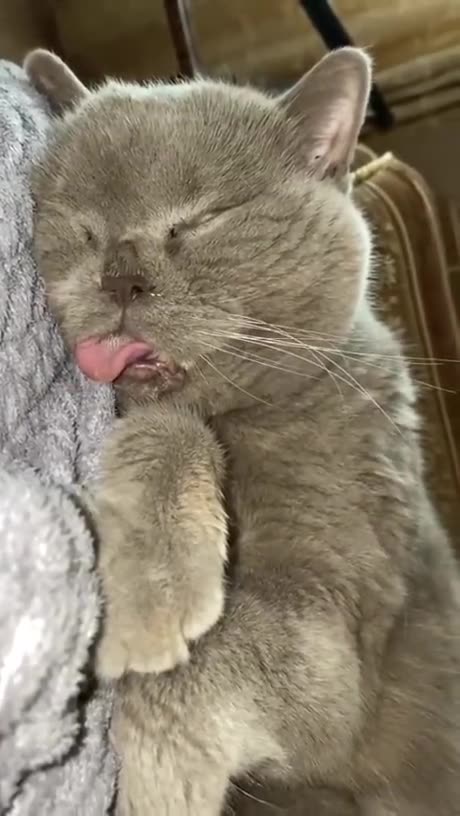 Been known to snore but nothing this loud 🤣