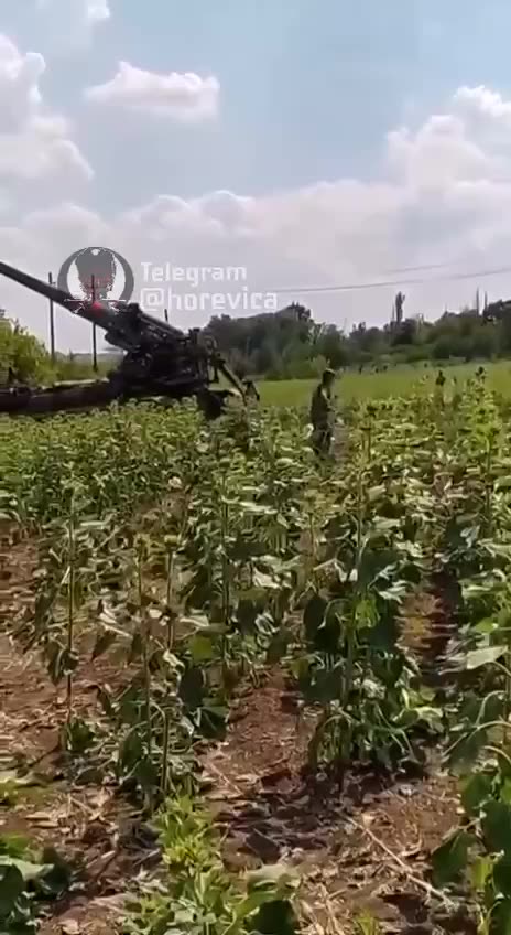 RF Counter battery: Direct hit on UAF Artillery about to fire