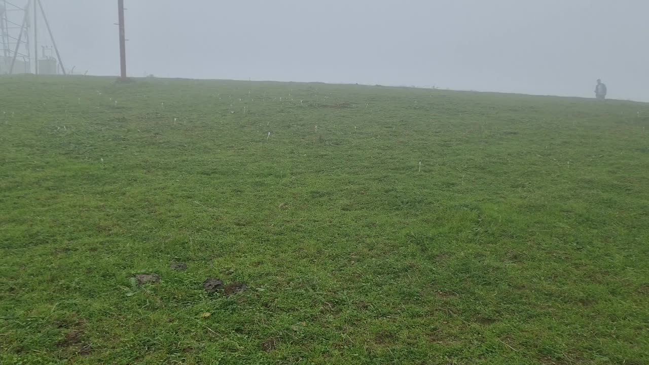 Lankaran, Azerbaycan