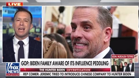 The Hunter Biden investigation